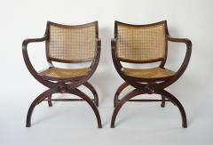 English Regency Style Mahogany and Cane Curule Form Armchairs - 845633