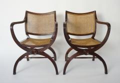 English Regency Style Mahogany and Cane Curule Form Armchairs - 845636