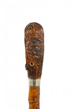 English Victorian Bamboo Owl Cane - 4666123