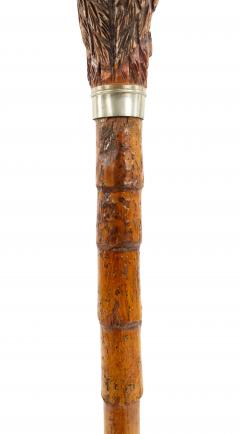 English Victorian Bamboo Owl Cane - 4666125
