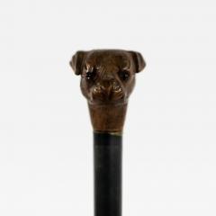 English Victorian Bull Dog Cane - 4695241