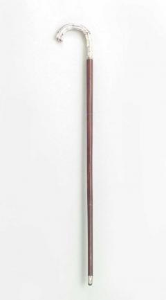 English Victorian Can with Silver Medallion Handle - 4216357