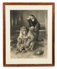 English Victorian Monkeys Lithograph - 4517089
