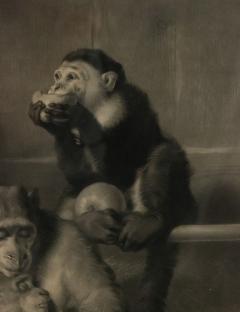 English Victorian Monkeys Lithograph - 4517091