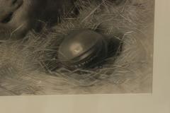 English Victorian Monkeys Lithograph - 4517092