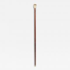 English Victorian Wood Cane With Sundial - 3208152