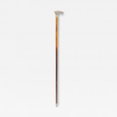 English Victorian Wood and Silver Cane - 4716957