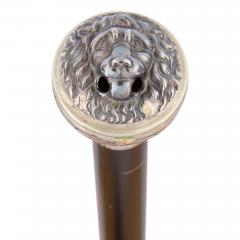 English Victorian silver and ebonised wood watch walking stick - 4051363