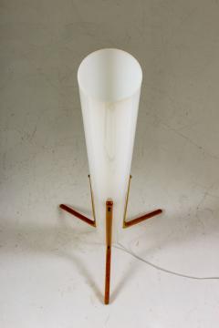 Eric Elfv n Swedish Mid Century Floor Lamp in Acrylic and Beech by Eskilstuna 1960s - 835508