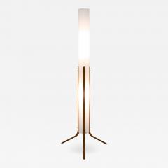 Eric Elfv n Swedish Mid Century Floor Lamp in Acrylic and Beech by Eskilstuna 1960s - 836224