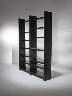 Ernesto Gismondi Dodona Bookcase by Ernesto Gismondi for Artemide - 4726950