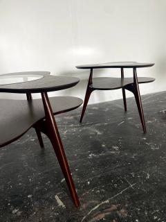 Erno Fabry Pair of Amoeba Shaped Side Tables by Erno Fabry - 3593500