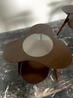 Erno Fabry Pair of Amoeba Shaped Side Tables by Erno Fabry - 3593508
