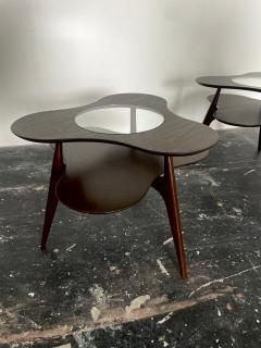 Erno Fabry Pair of Amoeba Shaped Side Tables by Erno Fabry - 3593511