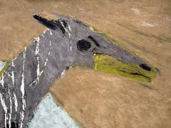 Ethel Magafan Horse and Colt in Abstract Landscape Equestrian - 4230219