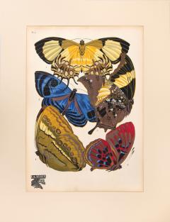 Eugene Alain Seguy Papillons - 3380005