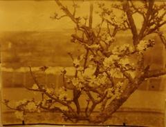 Eugene Atget Rare original Eugene Atget photograph circa 1900 - 911363