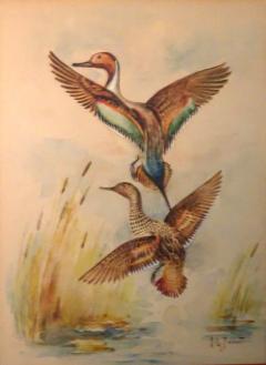 Eugene LaForet Northern Pintails Rising by Eugene LaForet Watercolor New York City 1945 - 3215826