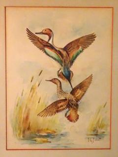 Eugene LaForet Northern Pintails Rising by Eugene LaForet Watercolor New York City 1945 - 3215827