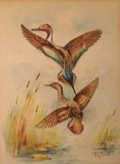Eugene LaForet Northern Pintails Rising by Eugene LaForet Watercolor New York City 1945 - 3215837