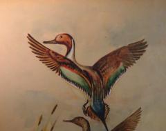 Eugene LaForet Northern Pintails Rising by Eugene LaForet Watercolor New York City 1945 - 3215838