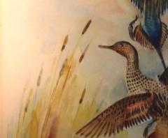 Eugene LaForet Northern Pintails Rising by Eugene LaForet Watercolor New York City 1945 - 3215840