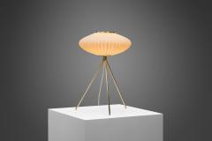 European Modern Tripod Table Lamp with Opal Glass Shade Europe 1960s - 3142693