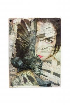 Eva Petric Eva Petric Contemporary Abstract Mixed Media Artwork Titled Birdy 2017  - 4654403