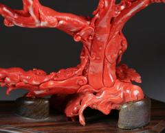 Exceptional Chinese Carved Coral Tree Branch with Monkeys and Squirrels Qing - 822578