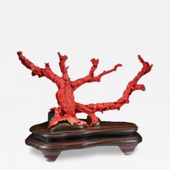 Exceptional Chinese Carved Coral Tree Branch with Monkeys and Squirrels Qing - 3909734