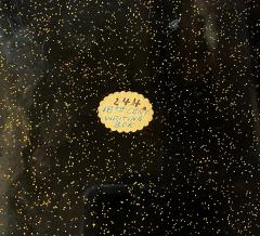 Exceptional Japanese Lacquer Suzuribako Edo Period with Provenance Note - 1866778