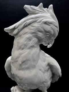 Exceptionally Large Italian Majolica White Glazed Parrot - 4313606