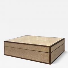 Exotic Ivory Shagreen and Macassar Ebony Box with Bone Inlay - 4193093