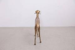 Extraordinary Huge Brass Dog or Greyhound 1960s - 543842