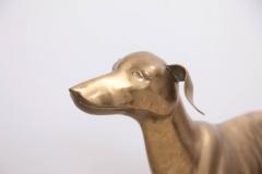 Extraordinary Huge Brass Dog or Greyhound 1960s - 543846