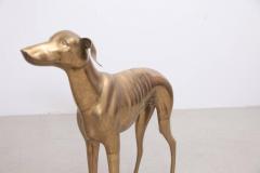 Extraordinary Huge Brass Dog or Greyhound 1960s - 543847