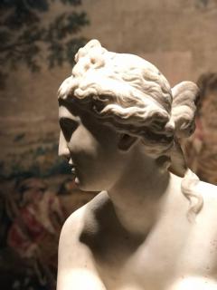 Extraordinary Italian 19th Century Marble Statue of Aphrodite - 632481