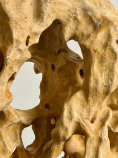 Extraordinary Large Chinese Scholar Rock Yellow Taihu Stone on Wood Stand - 4530923