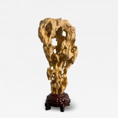Extraordinary Large Chinese Scholar Rock Yellow Taihu Stone on Wood Stand - 4532043