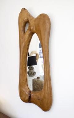 FRENCH HAND CARVED LARGE ORGANIC FORM WALL MIRROR - 4392959