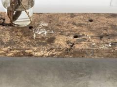 FRENCH PRIMITIVE BENCH - 1954572