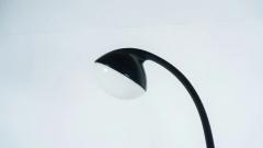 Fabio Lenci Lampione Floor Lamp by Fabio Lenci for Guzzini 1970s - 4493519