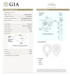 Fancy Vivid Yellow Pink Diamond and GIA Diamond 18K Earrings - 3670121