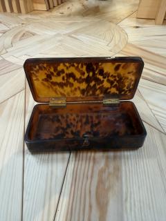 Faux Tortoiseshell Lucite Rectangular Box - 4780528
