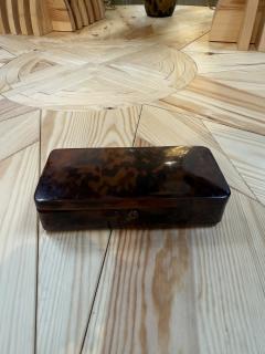 Faux Tortoiseshell Lucite Rectangular Box - 4780530
