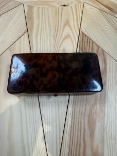 Faux Tortoiseshell Lucite Rectangular Box - 4780531