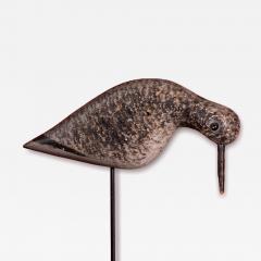 Feeding Least Sandpiper Decoy - 4249496