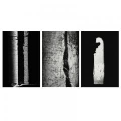 Ferrante Ferranti FRACTURES Black and white triptych of photographs - 2463984