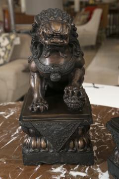 Fine Antique Bronze Foo Lion Dog Pair - 3007867