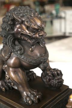 Fine Antique Bronze Foo Lion Dog Pair - 3007873